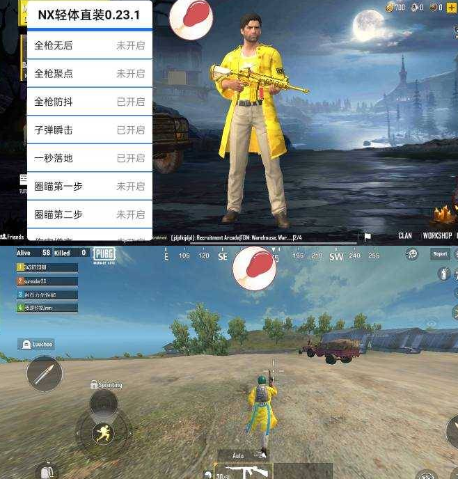 和平精英轻体NX直装分享