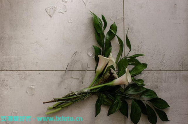 女子做20年全职太太离婚,发现丈夫资产过亿,偷给继女18套商铺