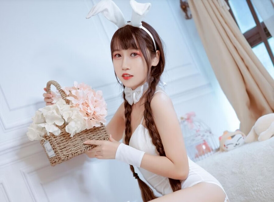 不呆猫全套定制图片合集分享,从颜值到技艺一网打尽