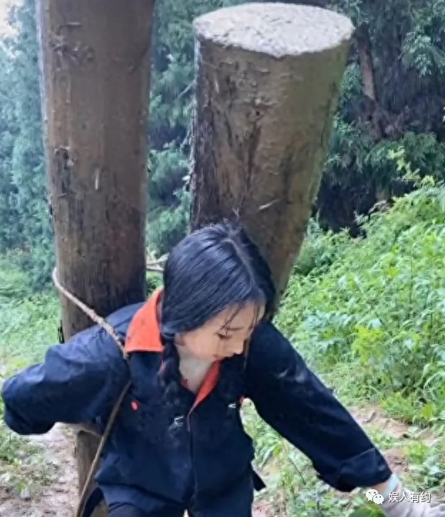 想不到吧!这就是大凉山的网红主播背着下山的木头,竟然是空心的 | 黑料正能量