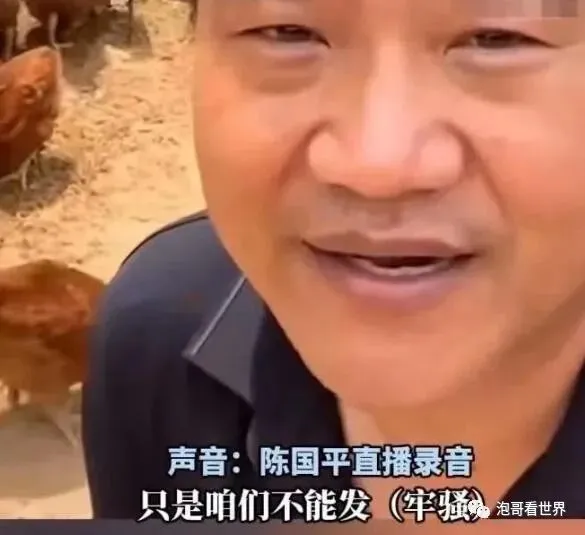 主播老陈真的后悔了!大环境不好,不该辞去体制内的工作 | 黑料正能量