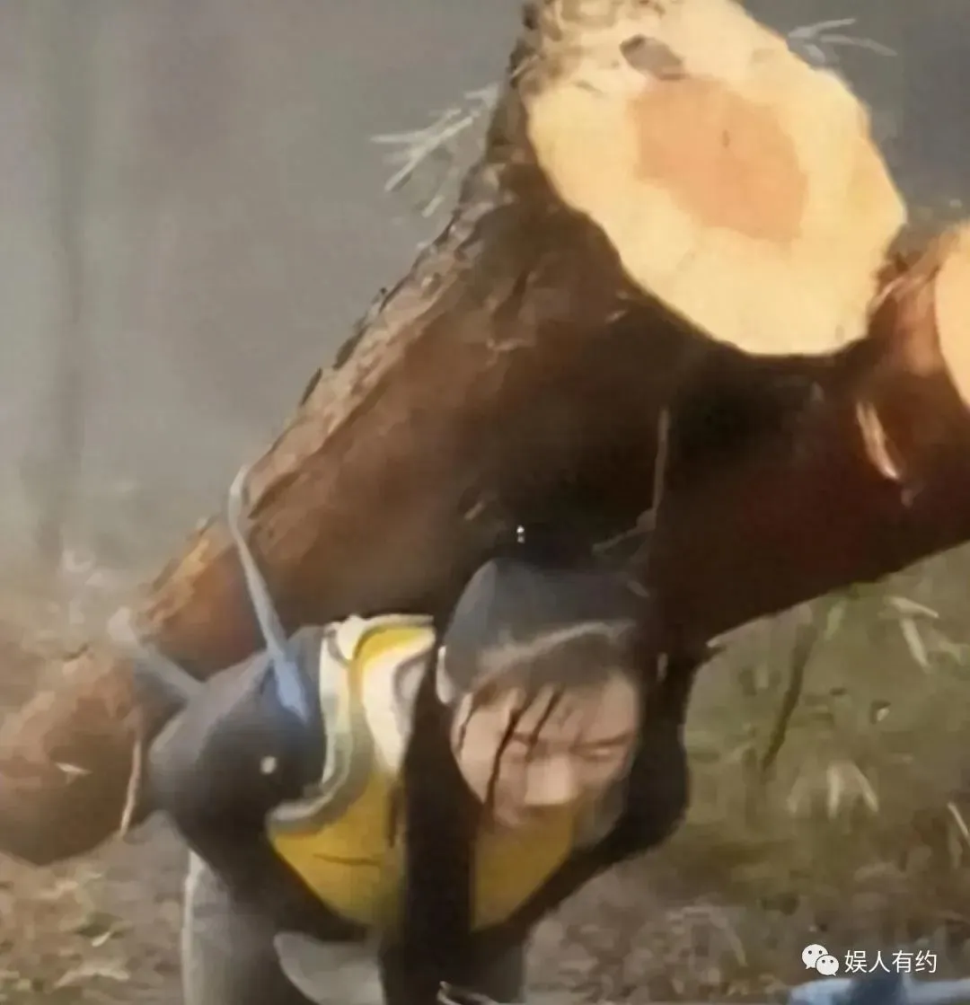 想不到吧!这就是大凉山的网红主播背着下山的木头,竟然是空心的 | 黑料正能量