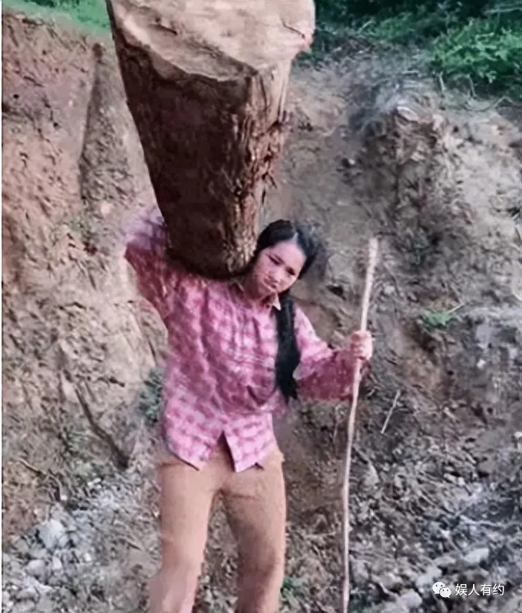 想不到吧!这就是大凉山的网红主播背着下山的木头,竟然是空心的 | 黑料正能量