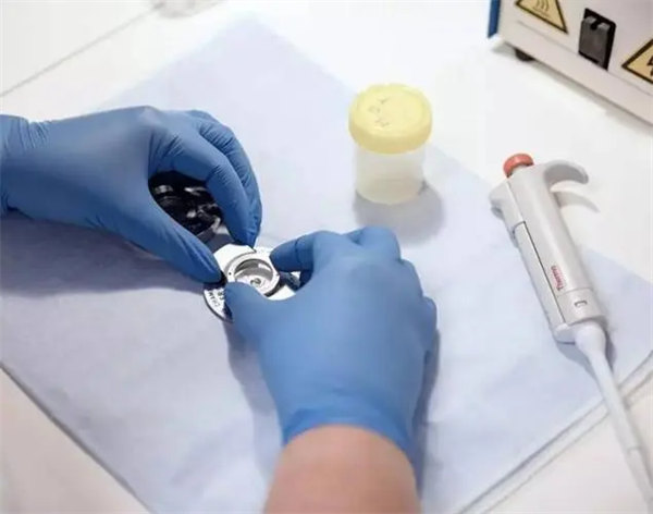 上海捐精者条件有哪些(这份钱不好挣)