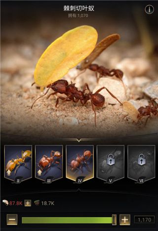 小小蚁国37客户端下载安装-小小蚁国37手游下载安装 v1.64.0安卓版