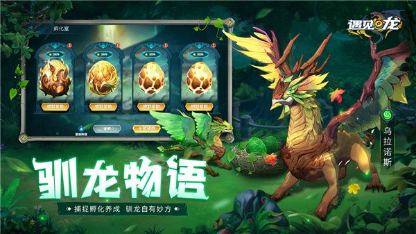 遇见龙测试服免费下载-遇见龙测试版下载 v4.3安卓版