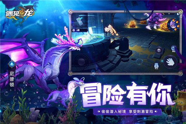 遇见龙测试服免费下载-遇见龙测试版下载 v4.3安卓版