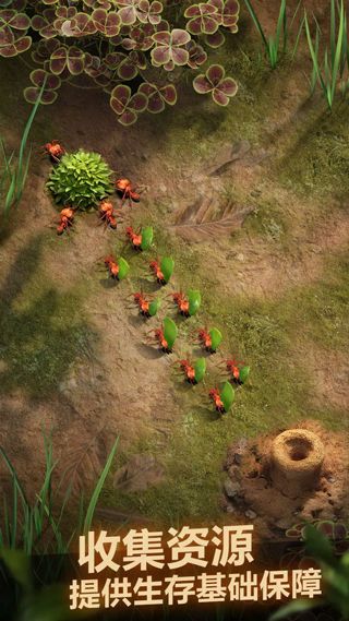 小小蚁国国际服下载安装-小小蚁国手游国际服官方正版下载 v3.32.0安卓版