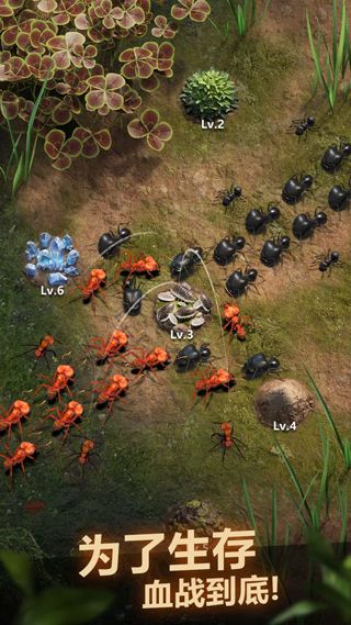 小小蚁国国际服下载安装-小小蚁国手游国际服官方正版下载 v3.32.0安卓版