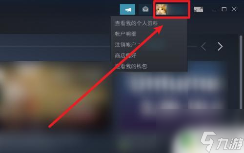 steam关库存 怎么在Steam上设置不公开库存游戏_资源爱好者手机游戏
