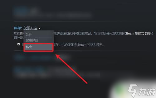 steam关库存 怎么在Steam上设置不公开库存游戏_资源爱好者手机游戏