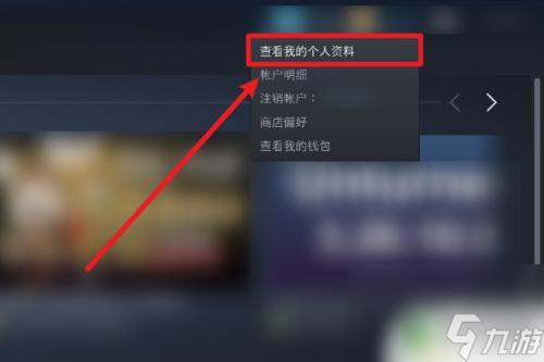 steam关库存 怎么在Steam上设置不公开库存游戏_资源爱好者手机游戏