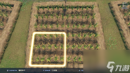 古剑奇谭3种子有什么用 家园种子种植攻略 已推荐 _资源爱好者手机游戏